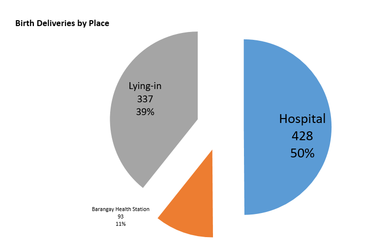 birth deliveries by place